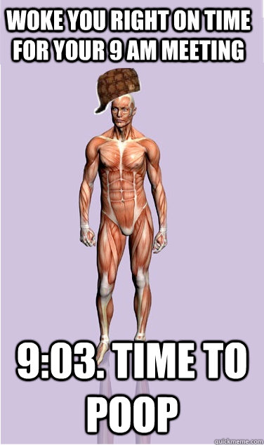 Woke you right on time for your 9 AM meeting 9:03. Time to poop - Woke you right on time for your 9 AM meeting 9:03. Time to poop  Misc