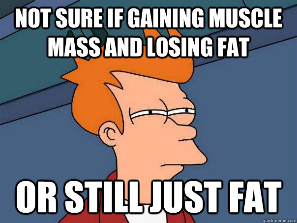 Not sure if gaining muscle mass and losing fat or still just fat  Futurama Fry