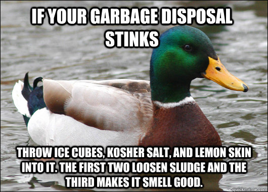If your garbage disposal stinks Throw ice cubes, kosher salt, and lemon skin into it. The first two loosen sludge and the third makes it smell good.  Actual Advice Mallard