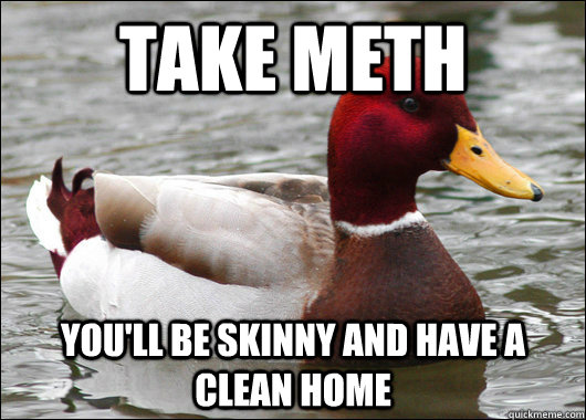 take meth you'll be skinny and have a clean home - take meth you'll be skinny and have a clean home  Malicious Advice Mallard