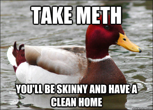 take meth you'll be skinny and have a clean home  Malicious Advice Mallard