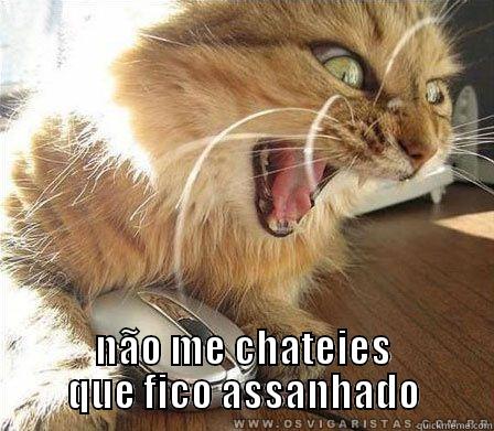  NÃO ME CHATEIES QUE FICO ASSANHADO Misc