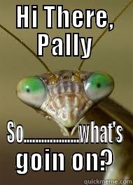 HI THERE, PALLY SO...................WHAT'S GOIN ON? Misc