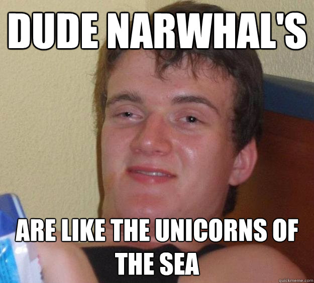 dude Narwhal's are like the unicorns of the sea - dude Narwhal's are like the unicorns of the sea  10 Guy