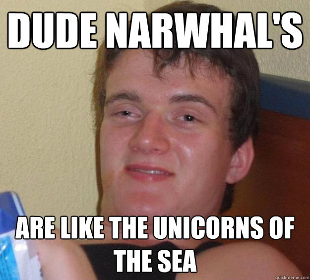 dude Narwhal's are like the unicorns of the sea  10 Guy