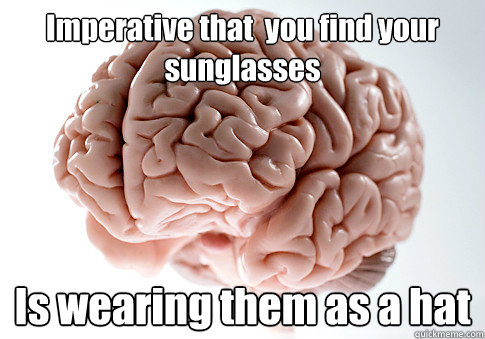 Imperative that  you find your sunglasses Is wearing them as a hat   Scumbag Brain