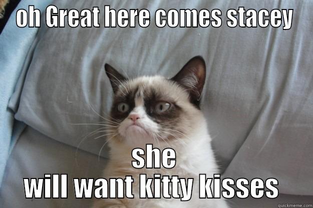 OH GREAT HERE COMES STACEY SHE WILL WANT KITTY KISSES  Grumpy Cat