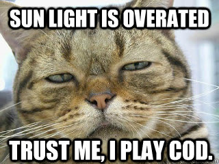 Sun light is overated trust me, I play CoD. - Sun light is overated trust me, I play CoD.  Gamer Cat