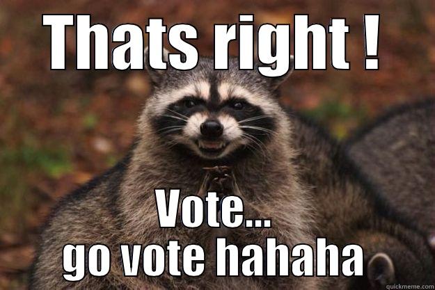 THATS RIGHT ! VOTE... GO VOTE HAHAHA Evil Plotting Raccoon