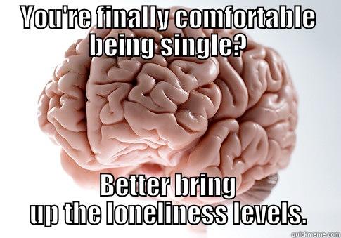 YOU'RE FINALLY COMFORTABLE BEING SINGLE? BETTER BRING UP THE LONELINESS LEVELS. Scumbag Brain
