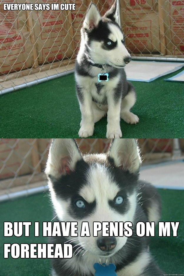 everyone says im cute but i have a penis on my forehead  Insanity puppy