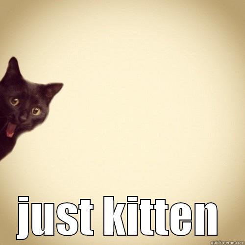  JUST KITTEN Misc