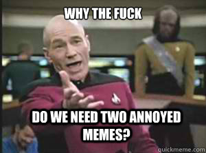 Why the fuck Do we need Two annoyed memes?  Annoyed Picard