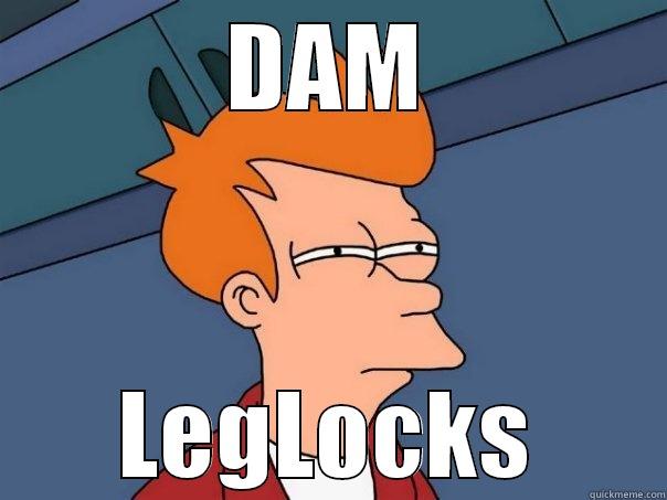 DAM LEGLOCKS Futurama Fry