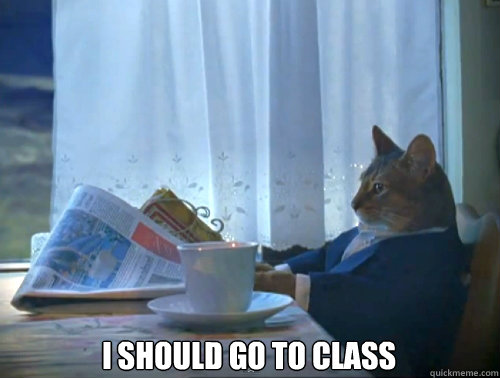  I should go to class  The One Percent Cat