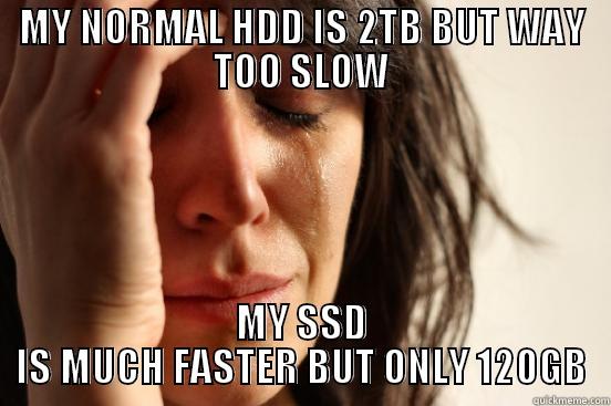 MY NORMAL HDD IS 2TB BUT WAY TOO SLOW MY SSD IS MUCH FASTER BUT ONLY 120GB First World Problems