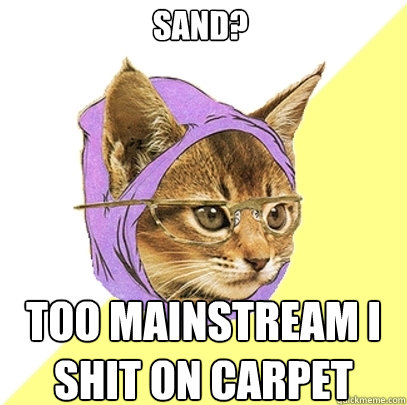 Sand? Too mainstream I shit on carpet  Hipster Kitty