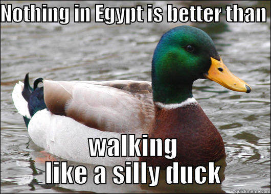 NOTHING IN EGYPT IS BETTER THAN  WALKING LIKE A SILLY DUCK Actual Advice Mallard