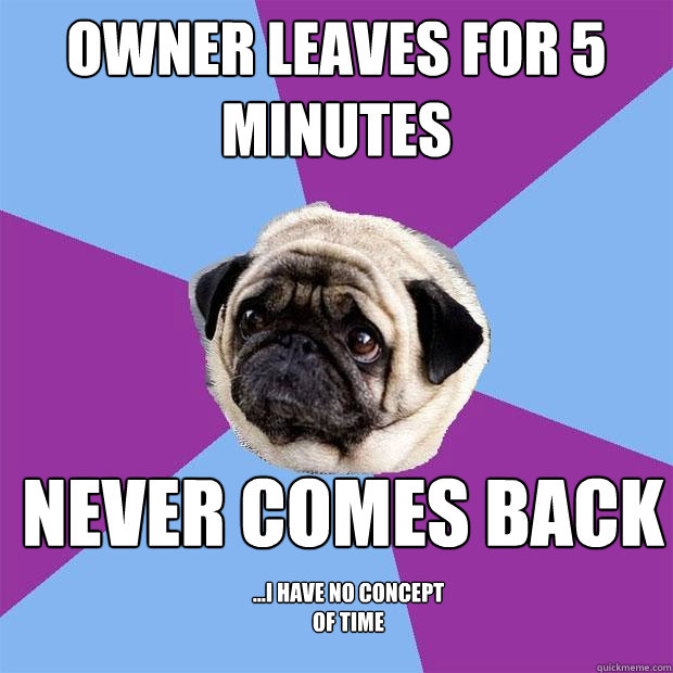 Owner leaves for 5 minutes never comes back ...I have no concept of time  Lonely Pug