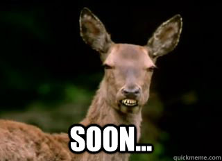 SOON...  Soon