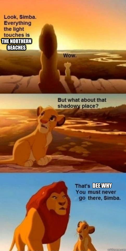 The northern beaches  dee why  Everything the Light Touches