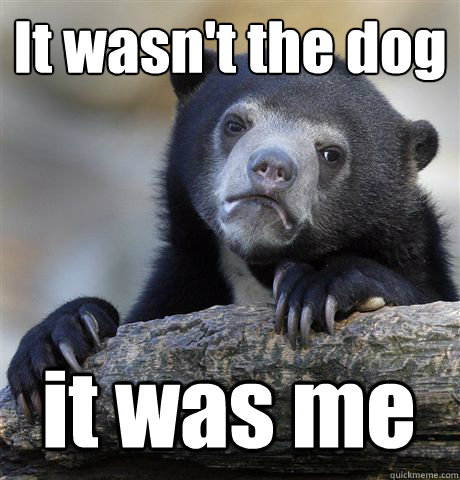 It wasn't the dog it was me  Confession Bear