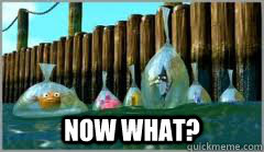  Now What?  Now What