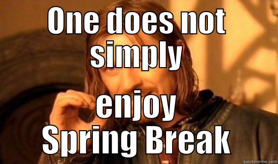 Spring breaking it - ONE DOES NOT SIMPLY ENJOY SPRING BREAK Boromir