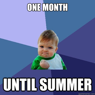 One Month Until Summer   Success Kid