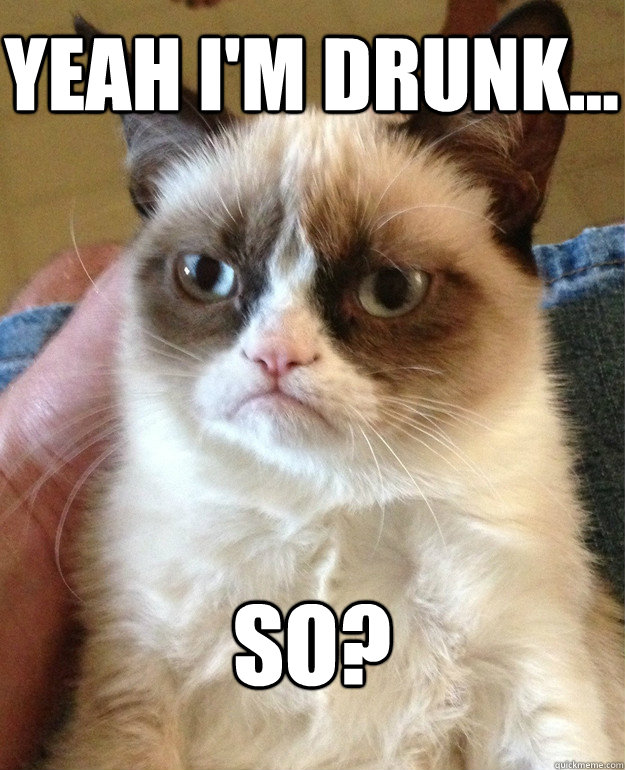 Yeah I'm drunk... So?  Grumpy Cat