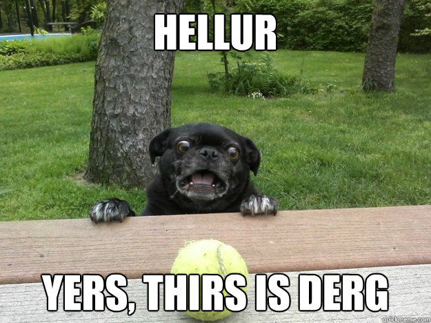 Hellur Yers, thirs is derg - Hellur Yers, thirs is derg  Berks Dog