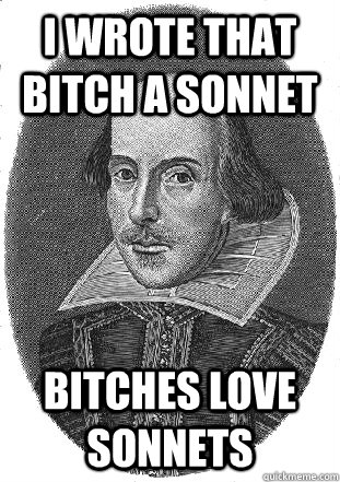 i wrote that bitch a sonnet  bitches love sonnets - i wrote that bitch a sonnet  bitches love sonnets  BillyShakes-Sonnets