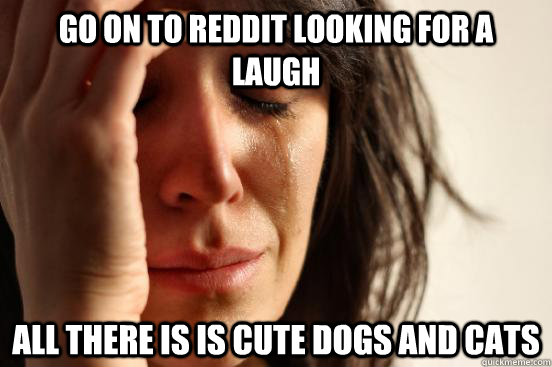 Go on to reddit looking for a laugh all there is is cute dogs and cats - Go on to reddit looking for a laugh all there is is cute dogs and cats  First World Problems