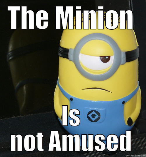 THE MINION IS NOT AMUSED Misc