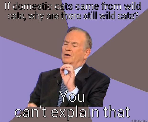 IF DOMESTIC CATS CAME FROM WILD CATS, WHY ARE THERE STILL WILD CATS? YOU CAN'T EXPLAIN THAT Bill O Reilly