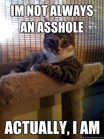 Im not always an asshole Actually, i am   The Most Interesting Cat in the World
