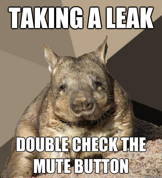 Taking a leak double check the mute button - Taking a leak double check the mute button  Work From Home Wombat