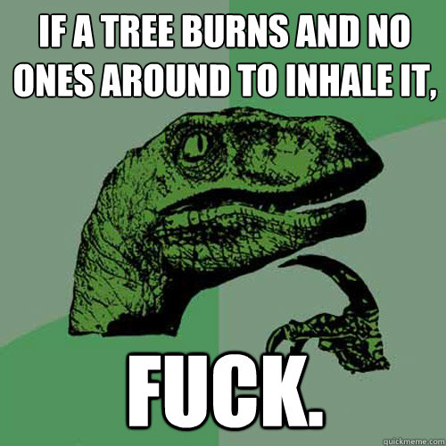 If a tree burns and no ones around to inhale it, fuck. - If a tree burns and no ones around to inhale it, fuck.  Philosoraptor