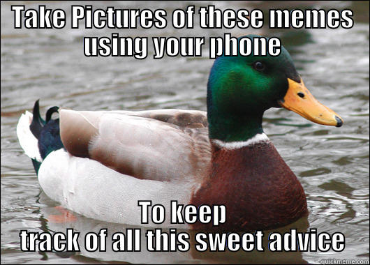 TAKE PICTURES OF THESE MEMES USING YOUR PHONE TO KEEP TRACK OF ALL THIS SWEET ADVICE Actual Advice Mallard