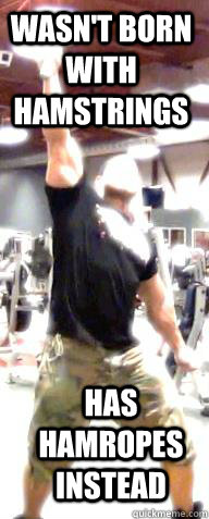Wasn't born with hamstrings Has Hamropes instead - Wasn't born with hamstrings Has Hamropes instead  Antoine Vaillant
