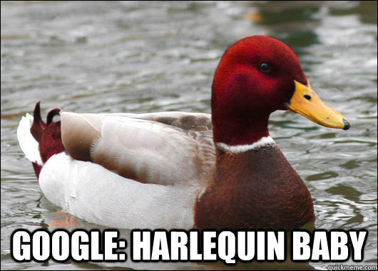 google: harlequin baby  Malicious Advice Mallard
