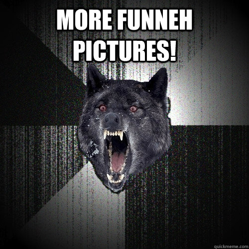 MORE FUNNEH PICTURES!    Insanity Wolf