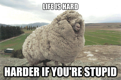 Life is hard Harder if you're stupid  Shrek the Sheep