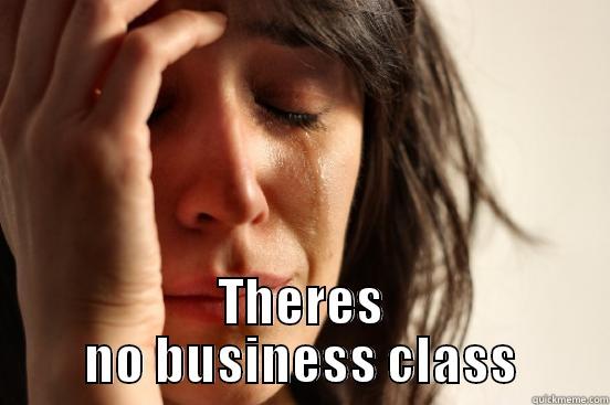  THERES NO BUSINESS CLASS First World Problems
