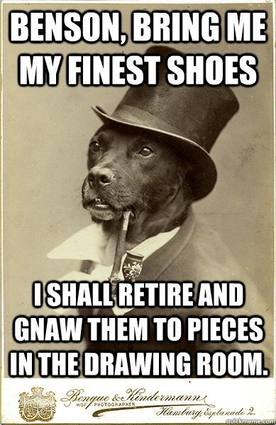 Benson, bring me my finest shoes I shall retire and gnaw them to pieces in the drawing room. - Benson, bring me my finest shoes I shall retire and gnaw them to pieces in the drawing room.  Old Money Dog