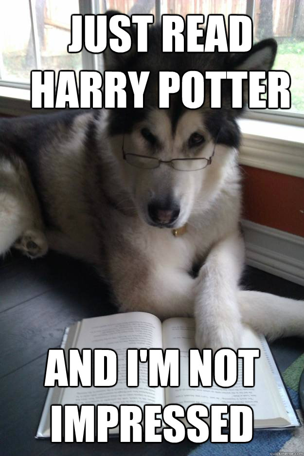 Just read Harry Potter and I'm not impressed  Condescending Literary Pun Dog