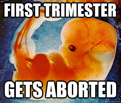 first trimester gets aborted - first trimester gets aborted  The Oppressed Little Fetus