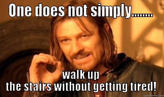 ONE DOES NOT SIMPLY........ WALK UP THE STAIRS WITHOUT GETTING TIRED! Boromir