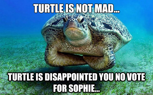 Turtle is not mad... Turtle is disappointed you no vote for Sophie...  Disappointed Sea Turtle