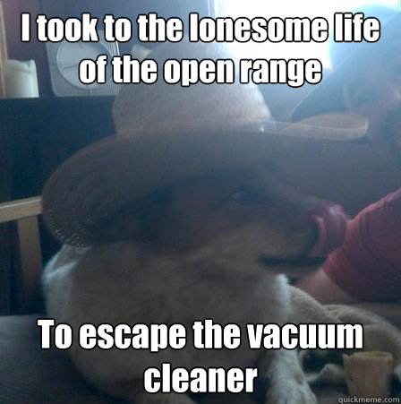 I took to the lonesome life of the open range To escape the vacuum cleaner - I took to the lonesome life of the open range To escape the vacuum cleaner  Cattle Dog